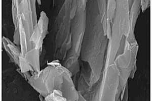 Ag-MoS<Sub>2</Sub>复合材料及其制备方法