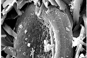 具有自调湿功能的复合材料及其生产方法