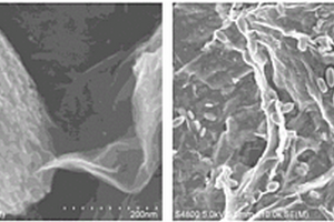 “蚕蛹状”PbS量子点/石墨烯复合材料及其制备方法
