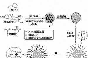 磁性親水分子印跡復合材料及其制備方法