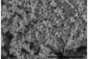 對乙酸氣體高靈敏度、高選擇性和低檢出限的G-MgGa<sub>2</sub>O<sub>4</sub>復合材料