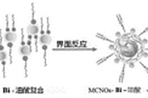 鎢酸鉍量子點/磁性納米洋蔥碳磁性復合材料光催化劑及其制備方法和應用
