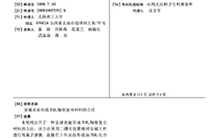 金屬表面形成TiB2陶瓷復合材料的方法