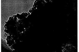 氫氧化鈣/石墨烯納米復合材料的制備方法