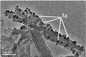 高可見光活性ATP/g?C3N4?Ag復合材料及其制備方法和應用