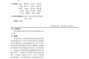 聚合物納米插層復合材料堵劑及其制備方法與應用