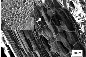 藕桿生物質炭鑲嵌氧化鐵復合材料及其制備方法、電極材料