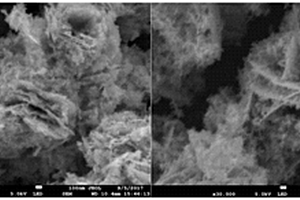 Ag/g-C<sub>3</sub>N<sub>4</sub>修飾鎢酸鉍混晶復合材料及其制備方法和應用