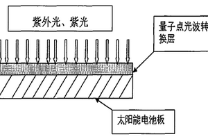 硅基太陽能電池表面量子點光波轉換層的制備方法