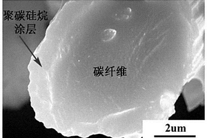 碳纖維界面的制備方法