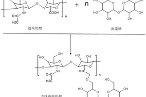 改性透明質酸復合美容整形材料的制備方法