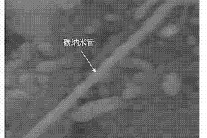 功能化玻璃纖維多尺度增強體的制備方法