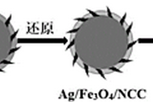 Ag/Fe3O4/納米纖維素三元復合材料及其制備方法