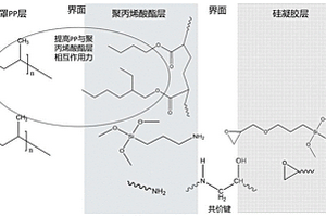 硅凝膠/聚丙烯酸酯聚合物復合材料