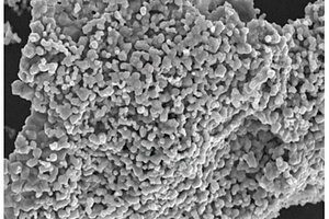 Li<Sub>1.2</Sub>Ni<Sub>0.13</Sub>Co<Sub>0.13</Sub>Mn<Sub>0.54</Sub>O<Sub>2</Sub>/Al<Sub>2</Sub>O<Sub>3</Sub>復合材料的制備方法