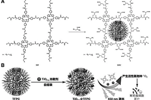 兩性離子共價有機聚合物/二氧化鈦納米復合材料及其制備方法和應用