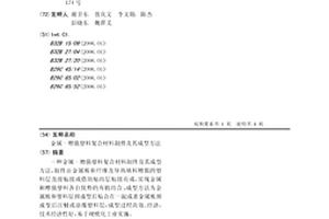 金屬-增強塑料復合材料制件及其成型方法