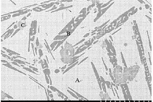 熔點低于600℃的Sn-Zn-Ti活性釬料及其制備方法
