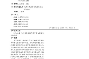 FeCo合金/CuO雙鍍層磁性碳纖維與制備方法和應用