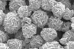 花狀Fe/Fe<Sub>3</Sub>C/Fe<Sub>3</Sub>O<Sub>4</Sub>復合吸波材料及其制備方法