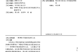 PBO纖維表面改性方法