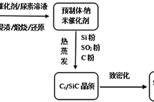 共沉淀與熱蒸發技術原位合成錐狀SiC晶須的制備方法