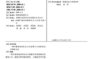 纖維增強改性反應注射模壓尼龍板材及其制備方法