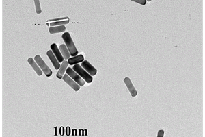 金鉑核殼型納米棒及制備方法及在制備AFB<Sub>1</Sub>電化學傳感器的應用