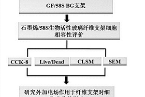 基于石墨烯和58S生物活性玻璃的三維互穿網絡支架及其應用