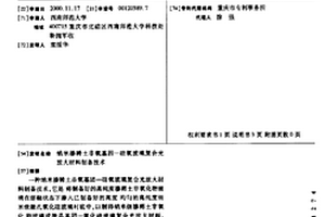 納米摻稀土非氧基因—硅氧玻璃復合光放大材料制備技術