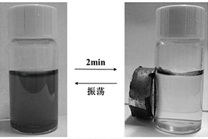 雙功能磁性熒光納米復合Fe<Sub>3</Sub>O<Sub>4</Sub>@CDs微球的制備方法