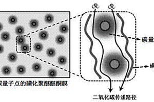原位摻雜碳量子點的磺化聚醚醚酮混合基質膜及其制備方法和應用