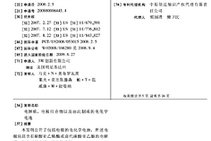 电解质、电极组合物以及由此制成的电化学电池