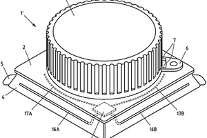 用于包装体的塑料元件以及具有此种塑料元件的包装体