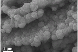 鈷摻雜MoS<Sub>2</Sub>/NiS<Sub>2</Sub>多孔異質結構材料制備方法及其應用于電催化析氫