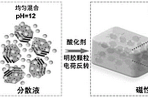磁性可注射型顆粒水凝膠、制備方法及其應用