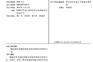 陶瓷晶須/鐵磁金屬復合吸波材料及其制備方法