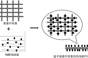 基于碳化細菌纖維素的納米碳纖維及其組合物與應用