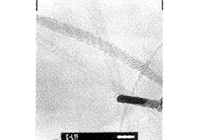 在真空條件下用電弧放電技術制備碳納米管的方法