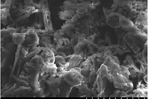 以二氧化三碳為改性劑的生物質微粉表面改性方法