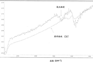 改性碳納米管、其生產方法以及由此獲得的產品