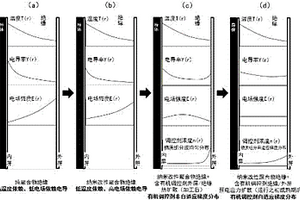 基于有機電場分布調控劑遷移的自適應調控電場方法
