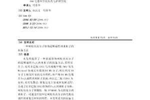 樹枝狀高分子修飾超順磁性納米粒子的制備方法