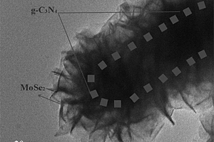 MoSe<sub>2</sub>/g-C<sub>3</sub>N<sub>4</sub>異質結構的制備方法