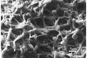 重金屬污水處理用無機材料雜化的多孔生物質微球的回收方法