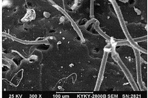 芳綸的表面改性方法及其增強天然橡膠材料及制備方法