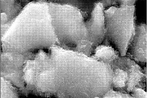 原位生長碳納米管增強TiNi高溫釬料的制備方法