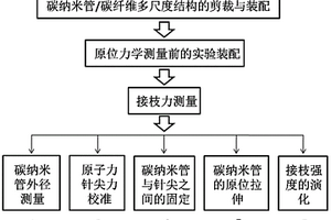 碳納米管端部與碳纖維表面接枝強度的測量方法