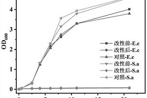 功能基團固載的納米銀材料及制備方法和應用