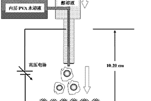 石榴狀的復合納米粒子的制備方法